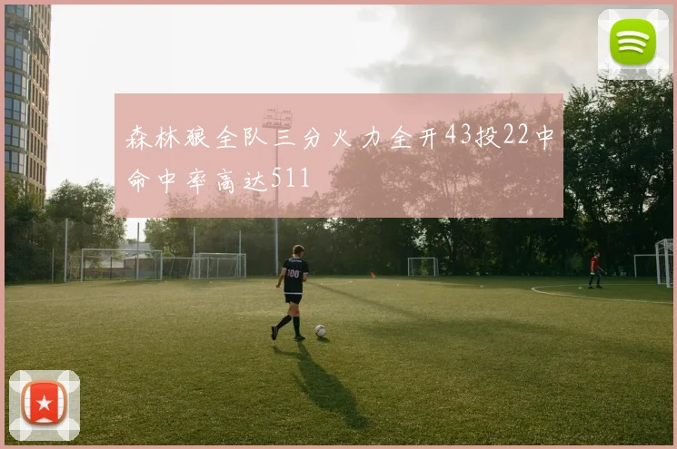 森林狼全队三分火力全开43投22中命中率高达511