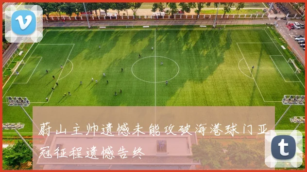 蔚山主帅遗憾未能攻破海港球门亚冠征程遗憾告终