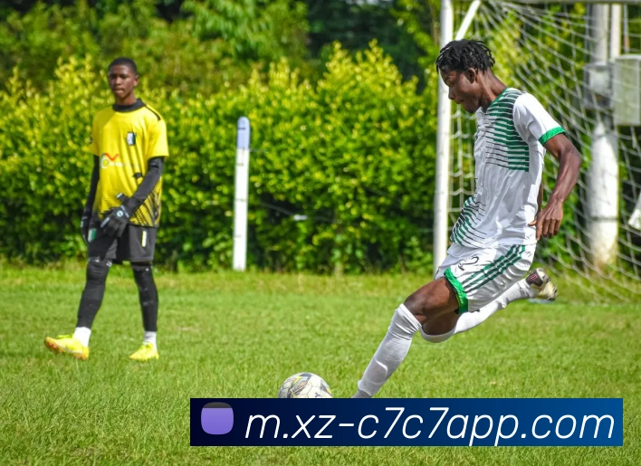 C7C7娱乐平台生态图